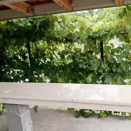 Skadar Lake Radinovic Apartmán Podgorica
